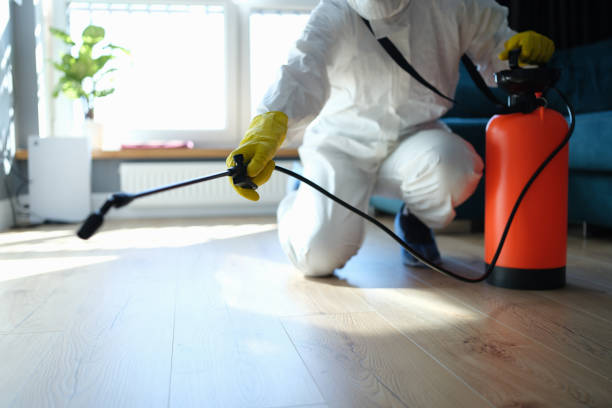 Reliable Odor Removal contractor in Luebbering, MO by Trauma Clean Pros